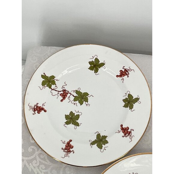 Royal Victoria ROV1 Fine Bone‎ China Plates Set Of 3 England Vine & Grape Design - Picture 5 of 8